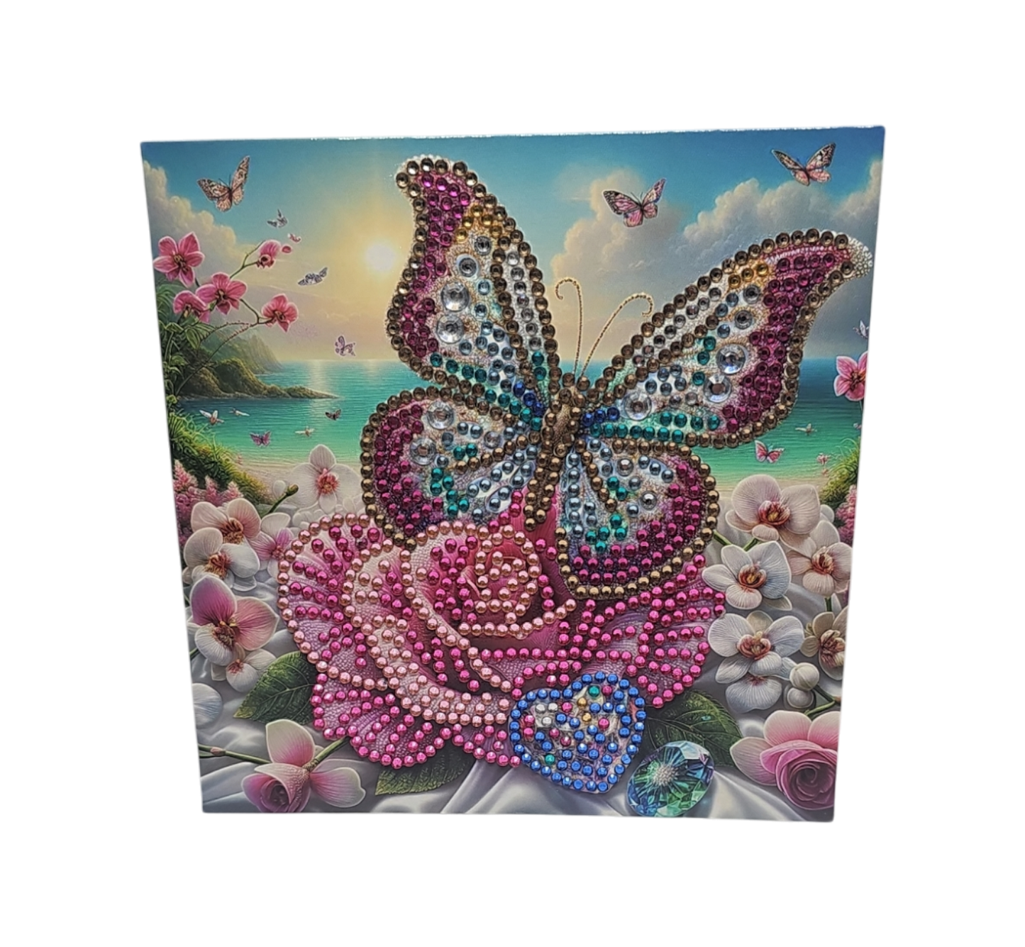 Schmetterling 8