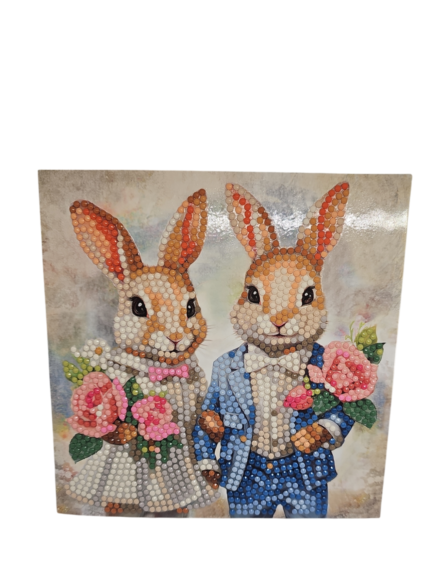 Hase 1