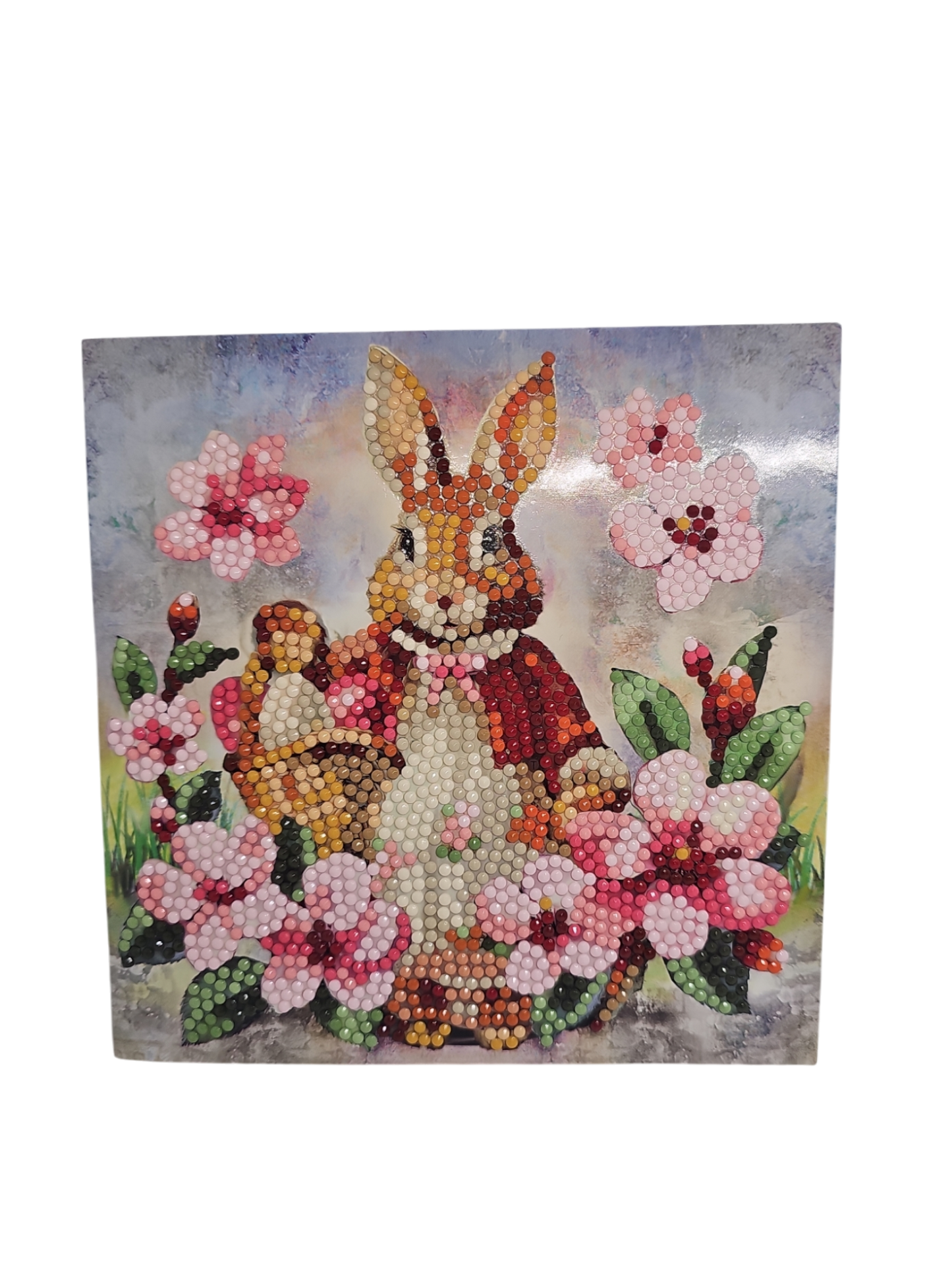 Hase 2