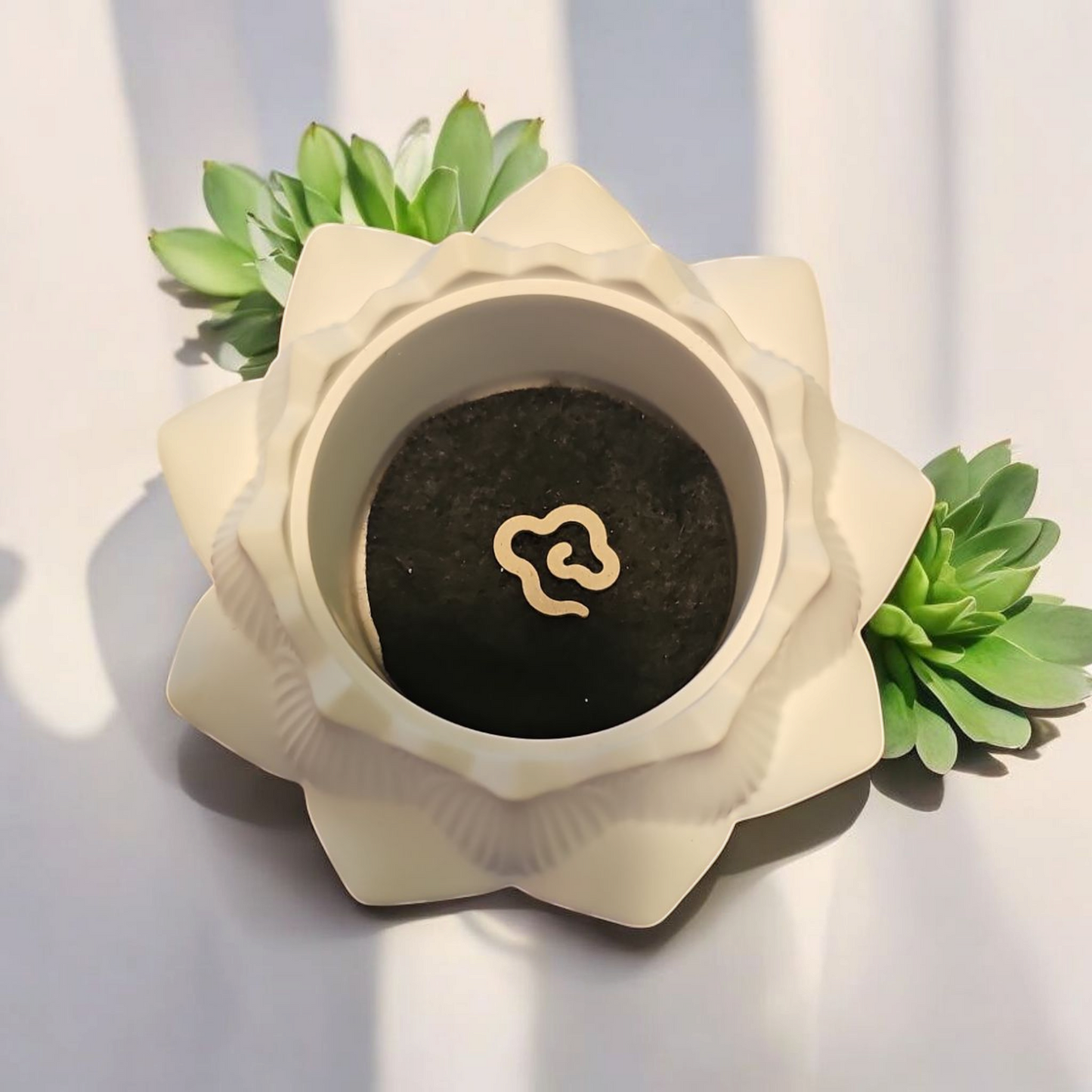 Räucherblüte