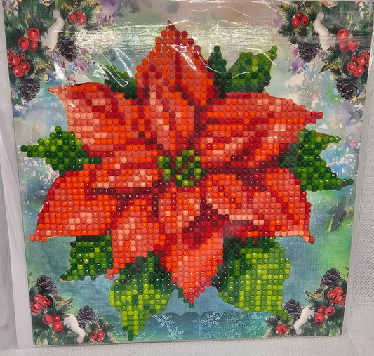Weihnachtsstern