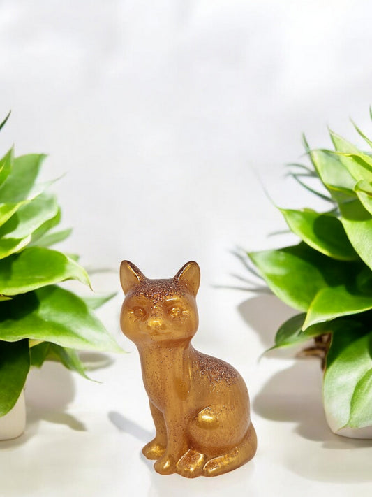 Katze Gold