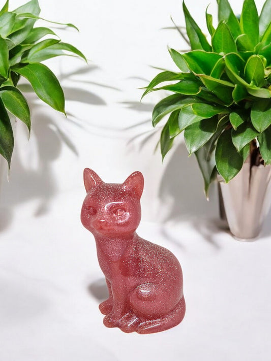 Katze Rosa