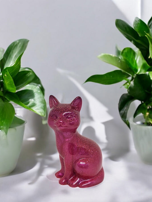 Katze Pink
