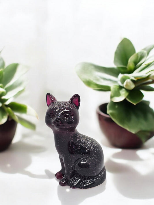 Katze Plaume