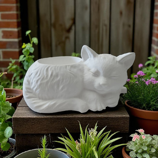 Katzengefäß mit Öffnung