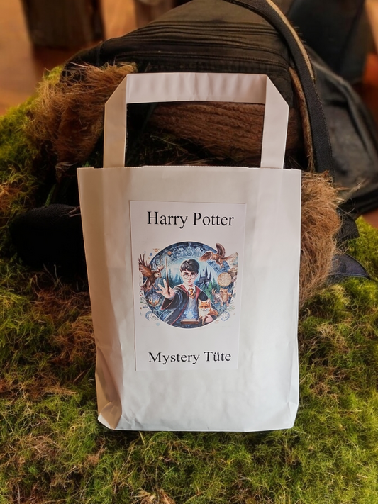Wundertüte Herry Potter