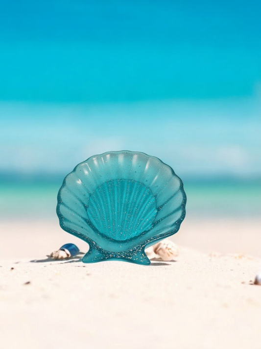 Muschelschale Ozean
