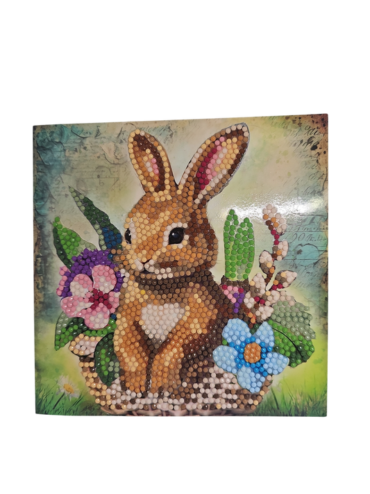 Hase 5