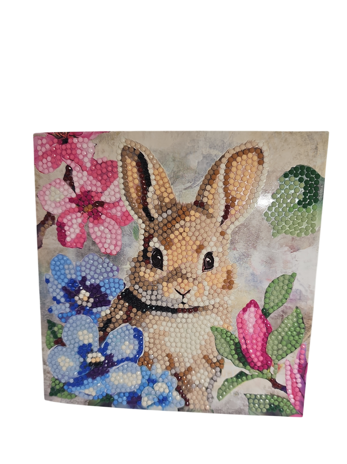 Hase 7