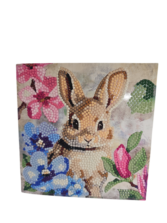 Hase 7
