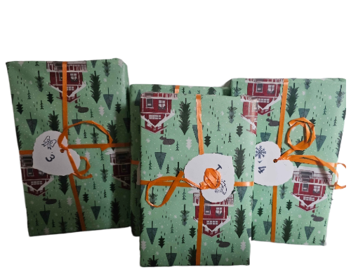 Bücher Adventskalender 5