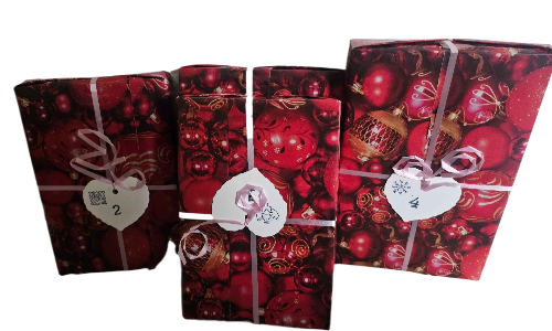 Bücher Adventskalender 6