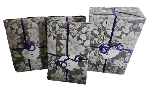 Bücher Adventskalender 2