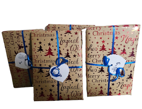 Bücher Adventskalender 1